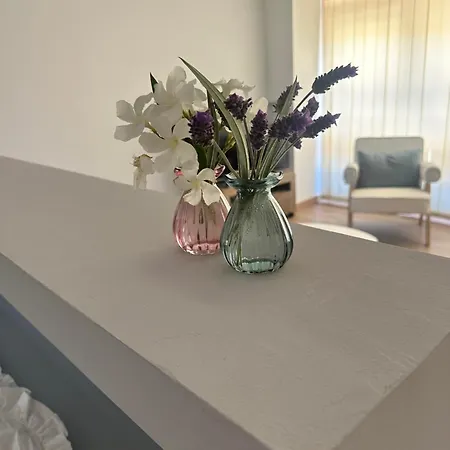 A Casa Do Veterinario アパート